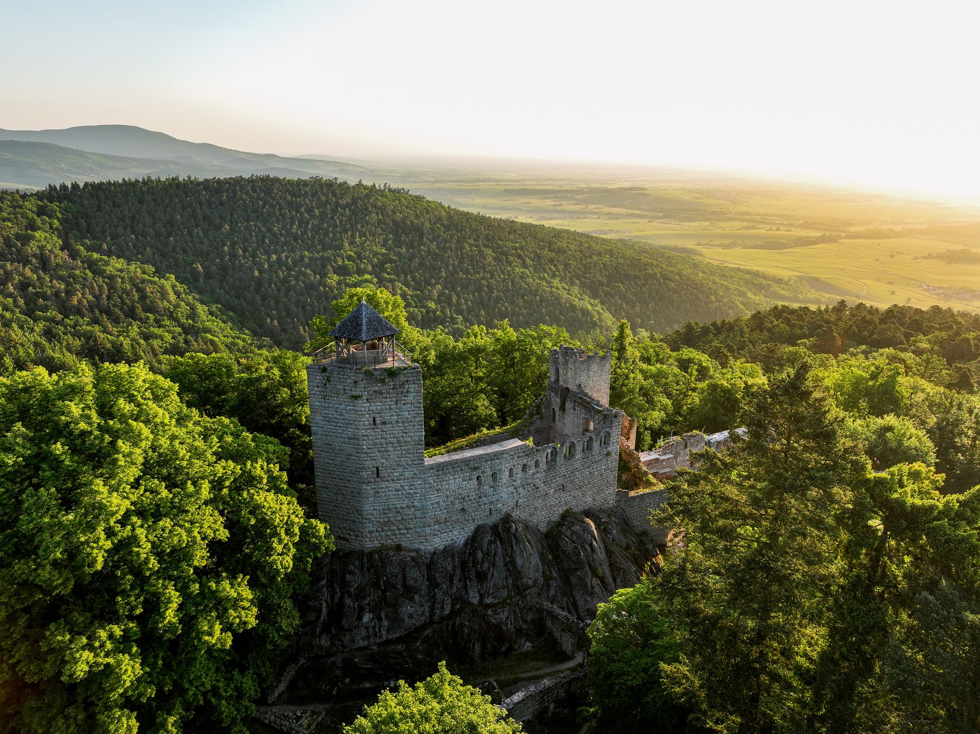 Trail Alsace by UTMB