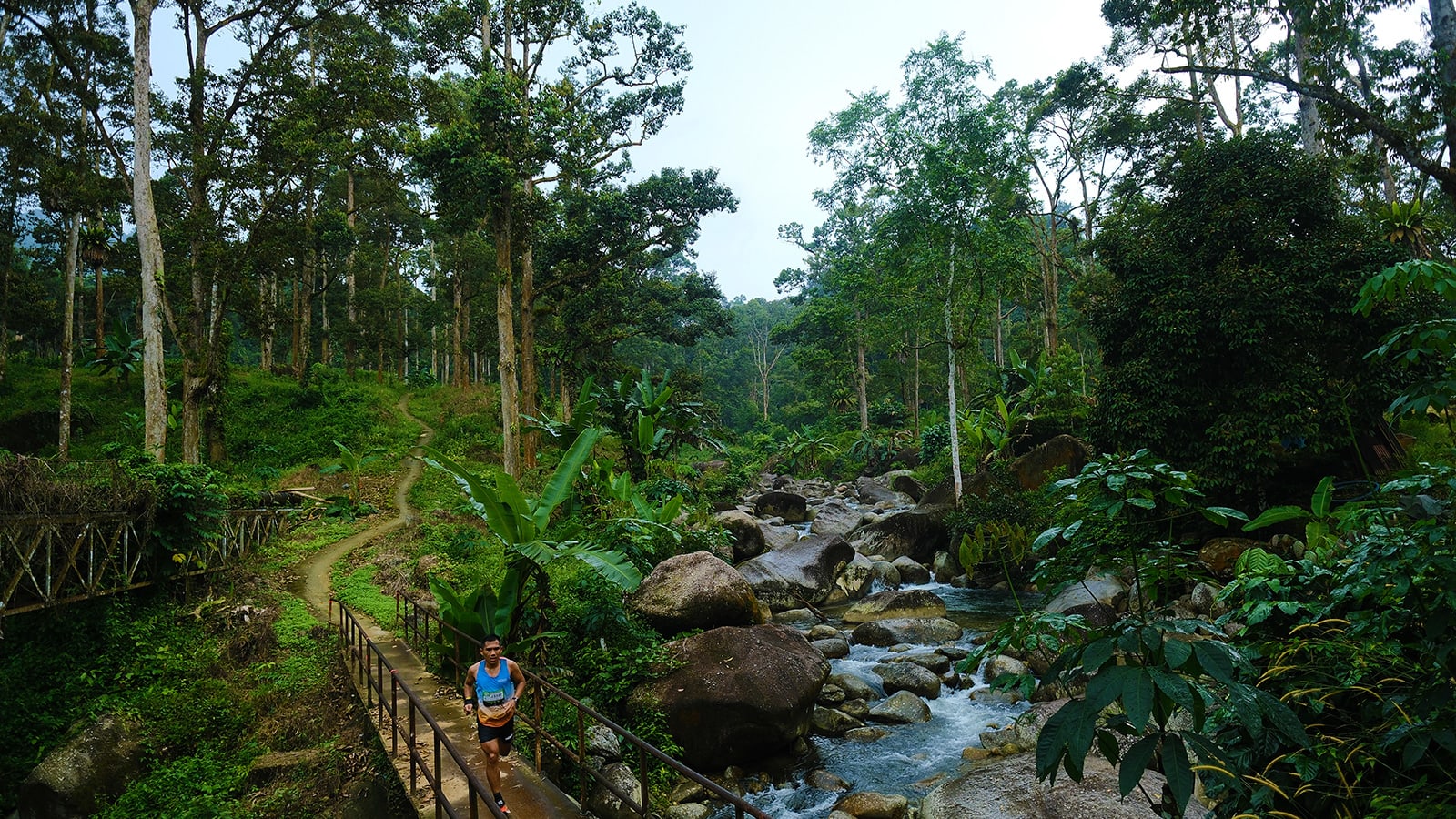 Malaysia Ultra-Trail by UTMB , photo 2 of 8