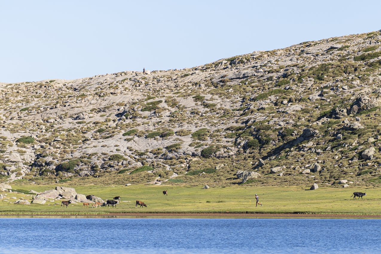 Restonica Trail by UTMB